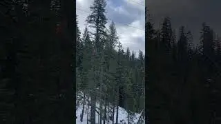 La vida en las alturas