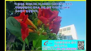 오이도 웨이트 레이브 호텔 근처 다가구 주택 주인세대 누수탐지