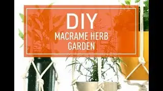 Apartment DIY | How to Make Your Own Herb Garden