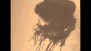 Iwrotehaikusaboutcannibalisminyouryearbook - 5 Songs Demo (Full Album)