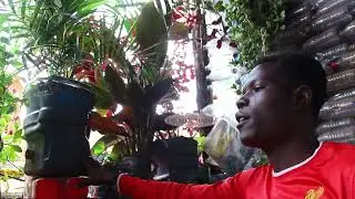 LABA EBITONE EBILI MU GHETTO YE KAMOKYA