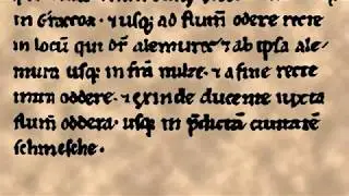 dagome iudex timelapse