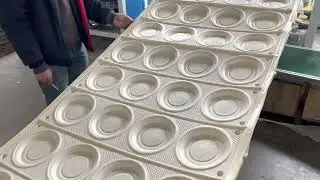 Biodegradable Corn Starch Based Food Plate Making Machine