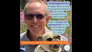 Is gabapentin a good option for treating joint pain in dogs and cats?