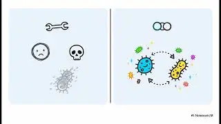 Designing Metabolic Division of Labor in Microbial Communities