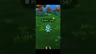 Piplup Community Day Classic Guide & Gameplay