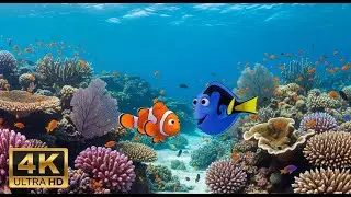 🐠 Aquarium Relaxation Video 4K &ndash; Peaceful Coral Reef Fish with Ambient Music