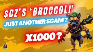 #MEMECOINS EXPLAINED | Is CZ&rsquo;s Broccoli Memecoin Just Another Scam Waiting to Happen?