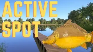 Amber | Frame-Sided Carp ACTIVE Spot | Jan 11, 2021 | Russian Fishing 4