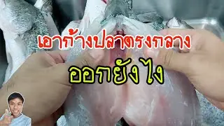 วิธีแล่ปลากระพง เอาก้างปลาตรงกลางออก | Snapper | Chef Arm Style |