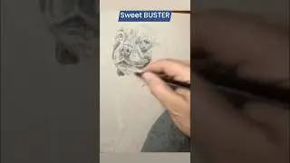 SWEET BUSTER! This is part of my HALO SERIES, since this boy has passed away.😢💔
