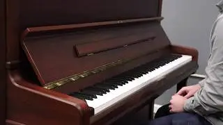 Schimmel C-130 Upright Demo