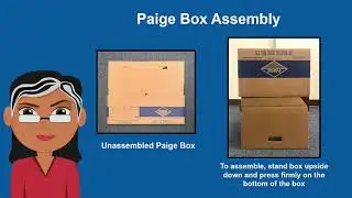 Records Transfer Instructions: 3 of 6 &ndash; Pack Boxes