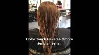 Color Touch Reverse Ombre