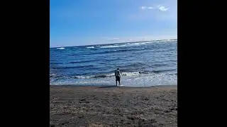 Lifeguard Rescue #bigisland #hawaii #beach #travel