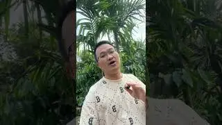 GỞI CẢ TRĂM EMAIL SAU Đ&Oacute; KH&Aacute;CH IM LẶNG