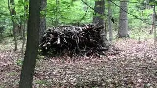 Hike Local! #1 - Selleck's Woods