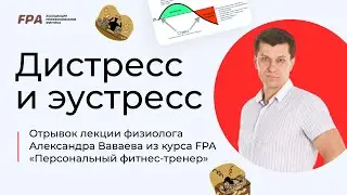 Дистресс и эустресс | Ассоциация Профессионалов Фитнеса (FPA)