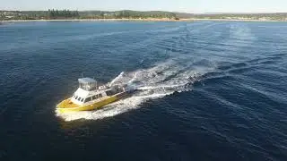 Fishbermi head to sea