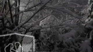 Winter Snow Song - Audrey Assad with Chris Tomlin