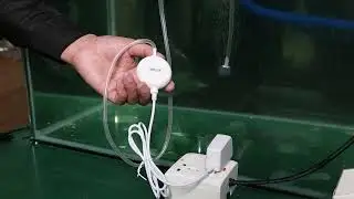 aquarium fish tank pump, heater, thermometer, cooling fans, reptile UVA/UVB light, smart feeder.