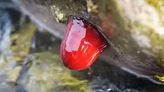 #BeatPlasticPollution