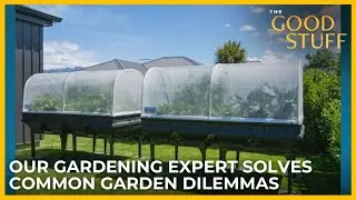 Summer Gardening Questions, Answered! | The Good Stuff with Mary Berg