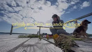 von berlin in mein zweites zuhause: blumen binden, stricken, foraging / vlog