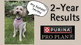 Purina Pro Plan Sensitive Skin & Stomach Dog Food Review | 2 Year Update