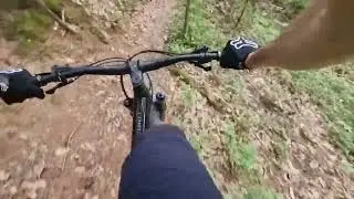Local MTB trail POV Giant Trance X