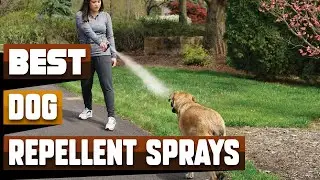 Best Dog Repellent Spray In 2025- Top 10 Dog Repellent Sprays Review