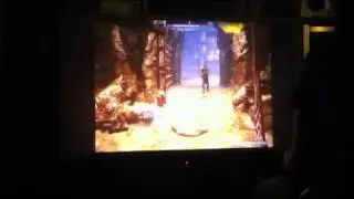 Skyrim fail