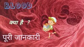what is blood ? RBC/WBC/Platelets | types of blood | Function of blood | रक्त क्या है ? #blood