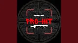 Pro-Hit