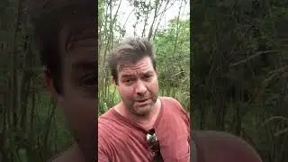 Как я проследил историю своей семьи на 1000 лет назад за 5 минут, бесплатно и без ДНК-теста