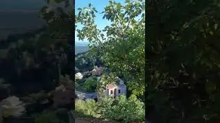 cervione