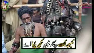 Punjabi Poetry WhatsApp status | Poetry status | Poetry TikTok 2022