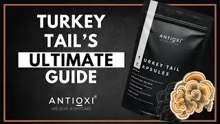 Turkey Tail Ultimate Guide: Benefits, Quality, Lab Testing & Red Flags Explained