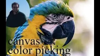 color Picker Canvas HTML #shorts