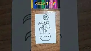 How to draw Plant🪴✨🌈#Shorts#PlantDrawing😱#drawingtutorial#easyartforkids#satisfying#Youtube#viralart