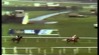 1987 Freebooter Novice Chase Doncaster Full Race