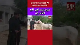 Sheikh Rasheed at his farm house. #imrankhanlatest #pti #imrankhan #sheikhrasheed #imrankhanpti