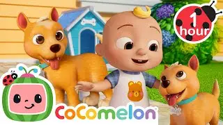 Let's Sing the B.I.N.G.O. Song! 🐶 Best Animal Videos for Kids | Kids Songs and Nursery Rhymes