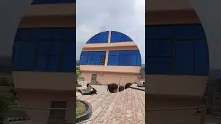 central university of Jharkhand,Cheri manatu#ranchi_jharkhand #councellingprocess #shortvideo