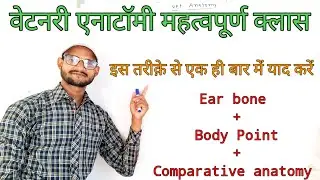 video -12 veterinary anatomy video | bones of middle ear | Point of animal body | #anatomy #skeleton