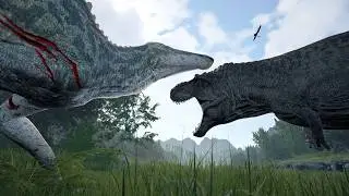 Life at The Top of The Food Chain