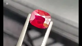 Exceptional Unheated Pigeon Blood Ruby 🩸 | 2.08ct Cushion | Mozambique 🇲🇿 | 