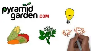 Topraksız Dikey Tarım Sistemleri -  Havada Yetiştirme - Pyramid Garden
