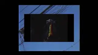 Untitled - Dhe Rous x BastyBeatz