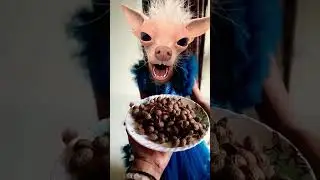 #Lakdi ki kati pe 🐴🐴🐴#shortsfeed 😱😱😱#shartsfunny 🐴🐴🐴#viralreels 🤑🤑🤑#shortvideo #trending #youtud